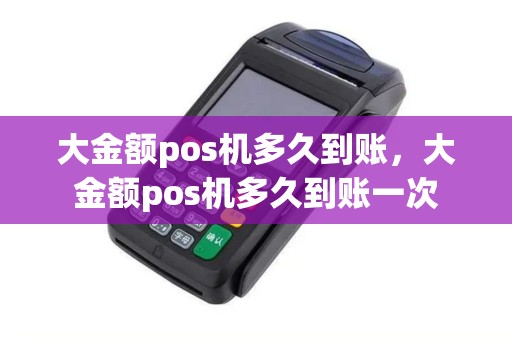 大金额pos机多久到账，大金额pos机多久到账一次