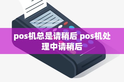 pos机总是请稍后 pos机处理中请稍后