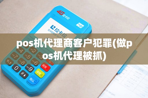 pos机代理商客户犯罪(做pos机代理被抓)