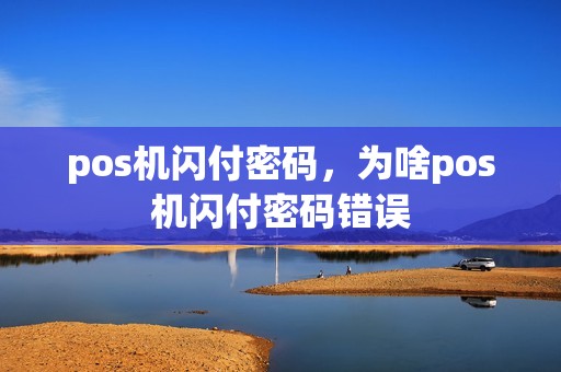 pos机闪付密码，为啥pos机闪付密码错误