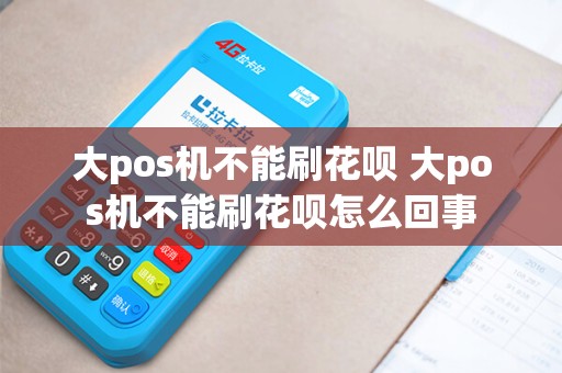 大pos机不能刷花呗 大pos机不能刷花呗怎么回事