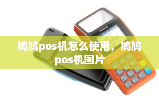 鸠鸠pos机怎么使用，鸠鸠pos机图片
