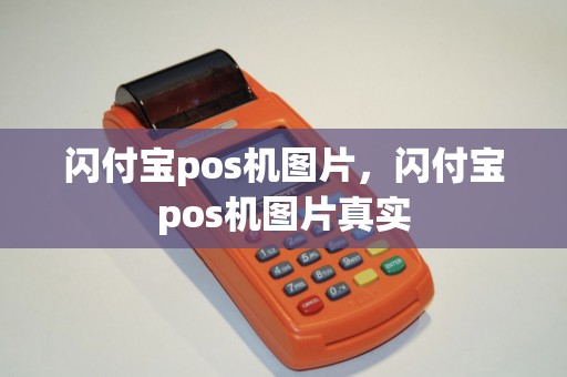 闪付宝pos机图片，闪付宝pos机图片真实
