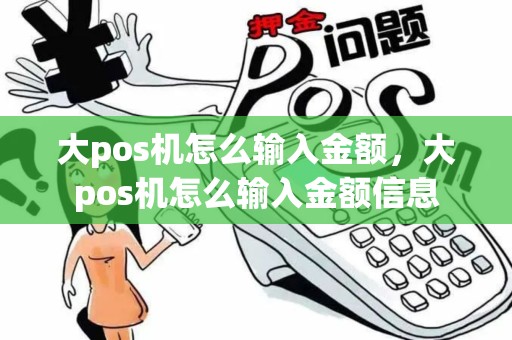 大pos机怎么输入金额，大pos机怎么输入金额信息