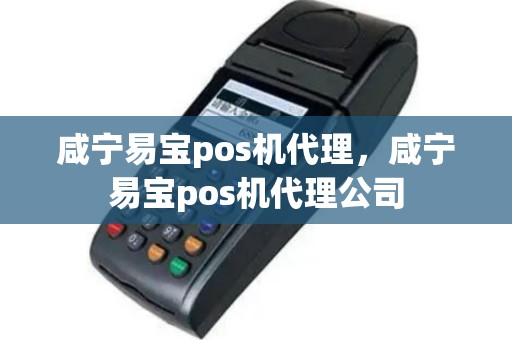 咸宁易宝pos机代理，咸宁易宝pos机代理公司
