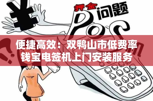 便捷高效：双鸭山市低费率钱宝电签机上门安装服务