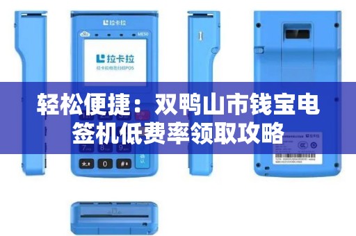 轻松便捷：双鸭山市钱宝电签机低费率领取攻略
