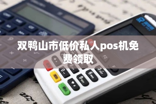 双鸭山市低价私人pos机免费领取