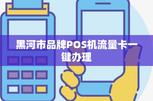 黑河市品牌POS机流量卡一键办理
