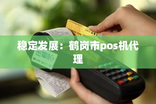 稳定发展：鹤岗市pos机代理