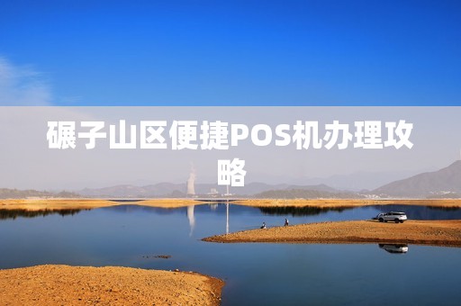碾子山区便捷POS机办理攻略