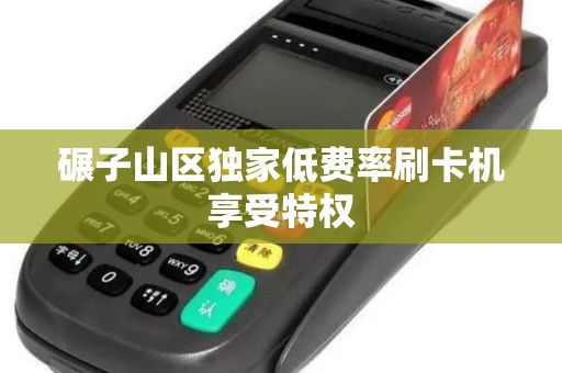 碾子山区独家低费率刷卡机享受特权