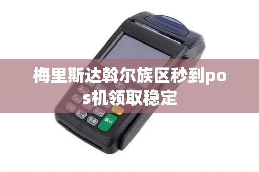 梅里斯达斡尔族区秒到pos机领取稳定