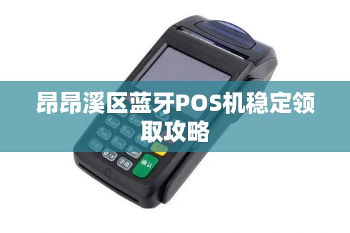 昂昂溪区蓝牙POS机稳定领取攻略