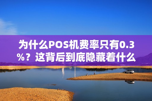 为什么POS机费率只有0.3%？这背后到底隐藏着什么秘密？
