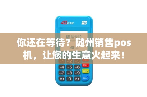 你还在等待？随州销售pos机，让您的生意火起来！