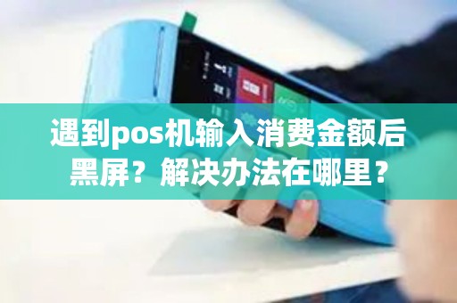 遇到pos机输入消费金额后黑屏？解决办法在哪里？
