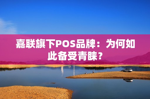 嘉联旗下POS品牌：为何如此备受青睐？