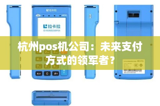 杭州pos机公司：未来支付方式的领军者？