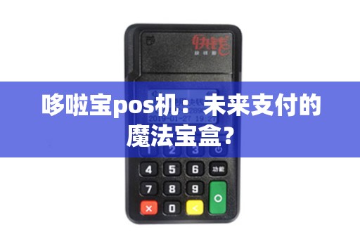 哆啦宝pos机：未来支付的魔法宝盒？