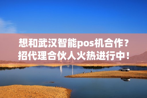 想和武汉智能pos机合作？招代理合伙人火热进行中！