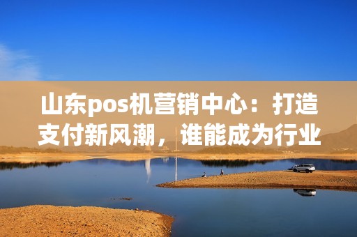 山东pos机营销中心：打造支付新风潮，谁能成为行业领军者？