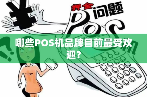 哪些POS机品牌目前最受欢迎？