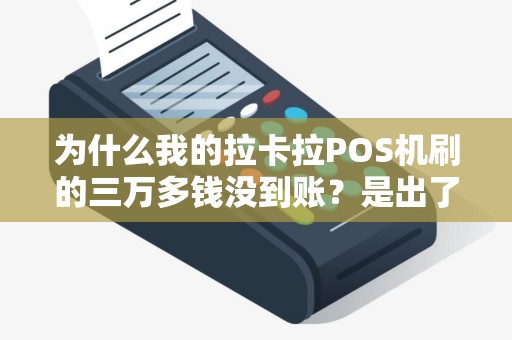 为什么我的拉卡拉POS机刷的三万多钱没到账？是出了什么问题吗？