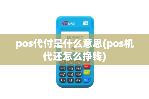 pos代付是什么意思(pos机代还怎么挣钱)