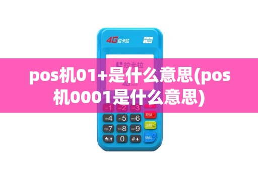 pos机01+是什么意思(pos机0001是什么意思)