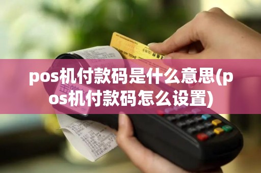 pos机付款码是什么意思(pos机付款码怎么设置)