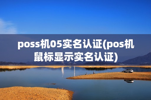poss机05实名认证(pos机鼠标显示实名认证)