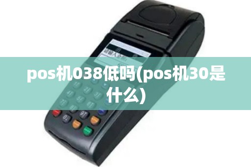 pos机038低吗(pos机30是什么)