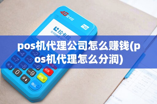 pos机代理公司怎么赚钱(pos机代理怎么分润)
