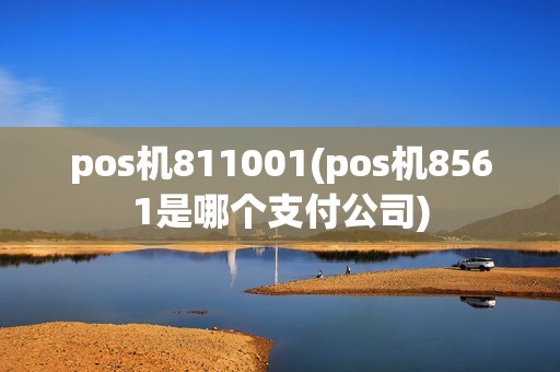 pos机811001(pos机8561是哪个支付公司)