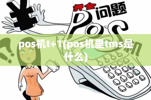 pos机t+1(pos机里tms是什么)