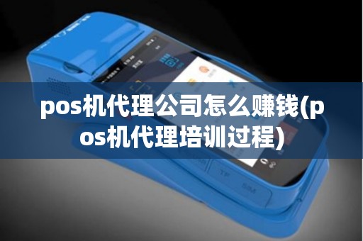 pos机代理公司怎么赚钱(pos机代理培训过程)