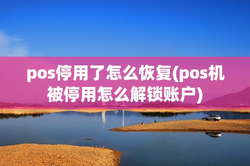 pos停用了怎么恢复(pos机被停用怎么解锁账户)