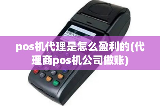 pos机代理是怎么盈利的(代理商pos机公司做账)