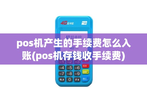 pos机产生的手续费怎么入账(pos机存钱收手续费)