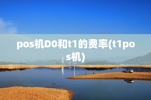 pos机D0和t1的费率(t1pos机)