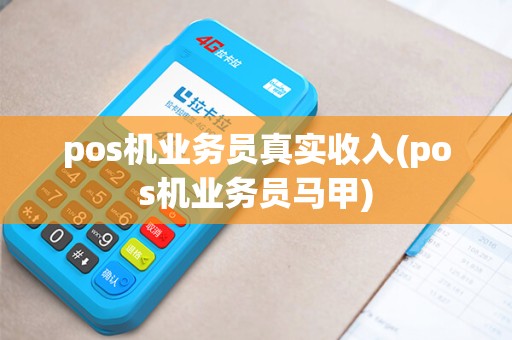 pos机业务员真实收入(pos机业务员马甲)