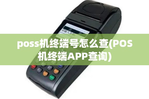 poss机终端号怎么查(POS机终端APP查询)