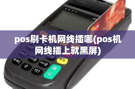 pos刷卡机网线插哪(pos机网线插上就黑屏)