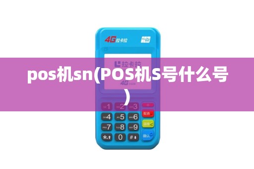 pos机sn(POS机S号什么号)