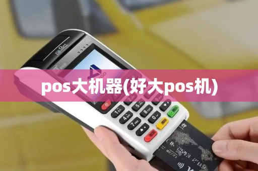 pos大机器(好大pos机)