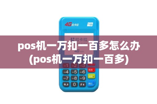 pos机一万扣一百多怎么办(pos机一万扣一百多)