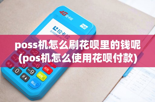 poss机怎么刷花呗里的钱呢(pos机怎么使用花呗付款)