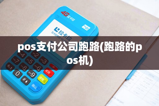 pos支付公司跑路(跑路的pos机)