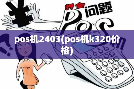 pos机2403(pos机k320价格)